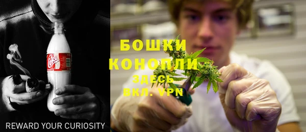 молекула духа Покачи