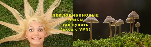 дурь Алексин