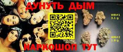 гидропоника Гатчина