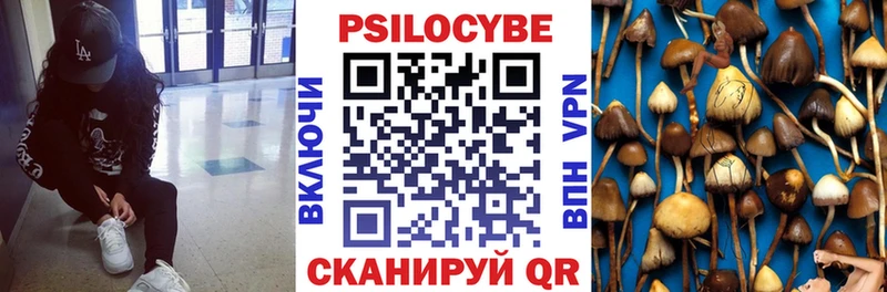 hydra ТОР  Звенигород  Псилоцибиновые грибы мицелий  где можно купить  
