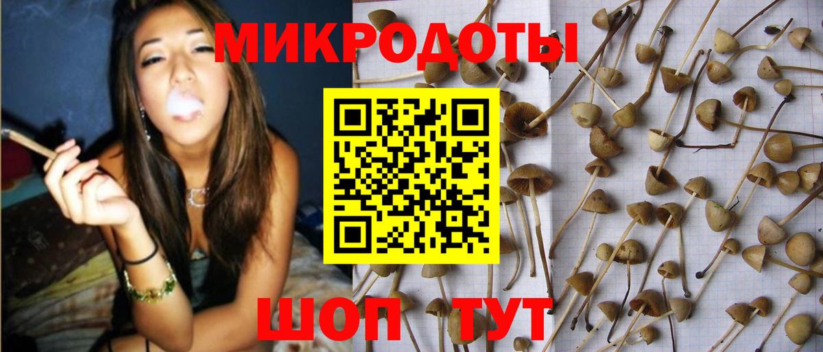 Звенигород  Галлюциногенные грибы MAGIC MUSHROOMS  Вход с VPN  Галлюциногенные грибы прущие грибы 