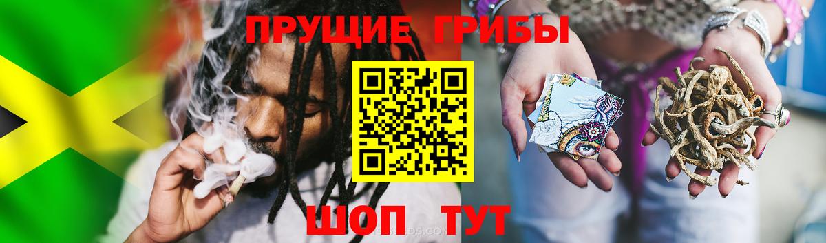 Галлюциногенные грибы мухоморы Звенигород